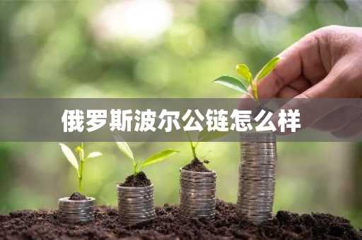 俄罗斯波尔公链怎么样
