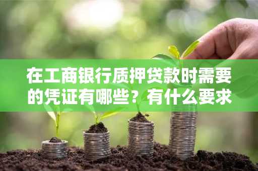 在工商银行质押贷款时需要的凭证有哪些？有什么要求吗？