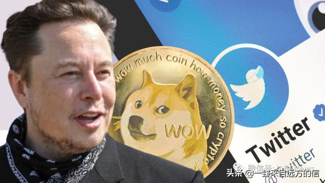 2022狗狗币（2022狗狗币现在翻了多少倍）