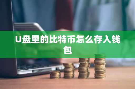 U盘里的比特币怎么存入钱包