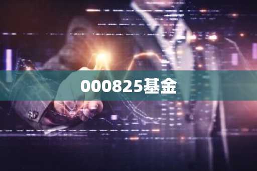 000825基金