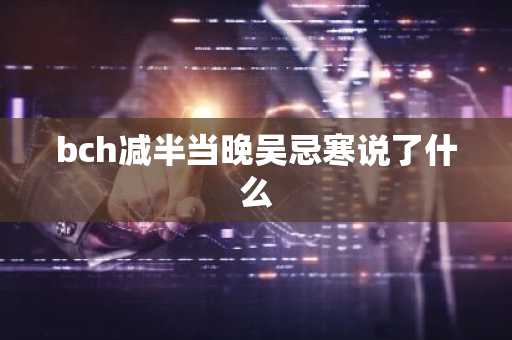 bch减半当晚吴忌寒说了什么
