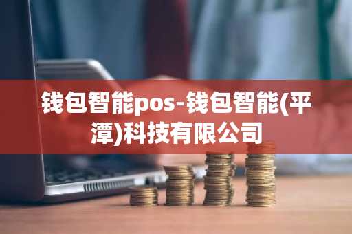 钱包智能pos-钱包智能(平潭)科技有限公司