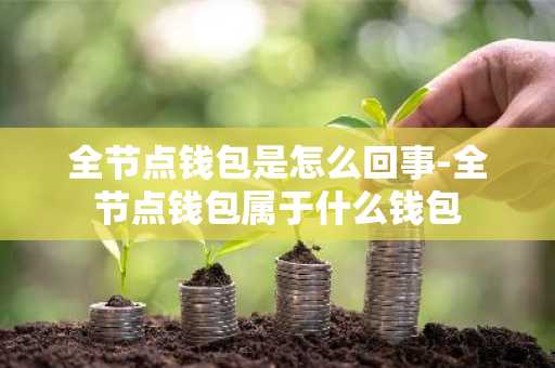 全节点钱包是怎么回事-全节点钱包属于什么钱包