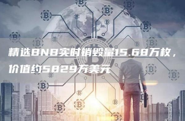 精选BNB实时销毁量15.68万枚，价值约5829万美元