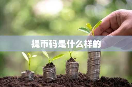 提币码是什么样的