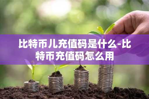 比特币儿充值码是什么-比特币充值码怎么用