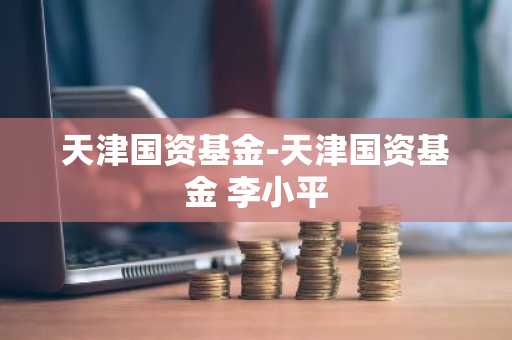 天津国资基金-天津国资基金 李小平