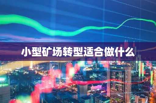 小型矿场转型适合做什么