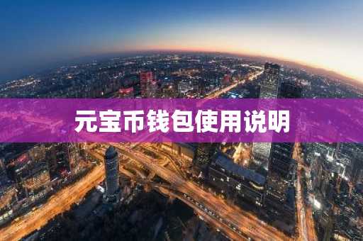 元宝币钱包使用说明
