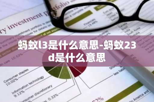 蚂蚁l3是什么意思-蚂蚁23d是什么意思