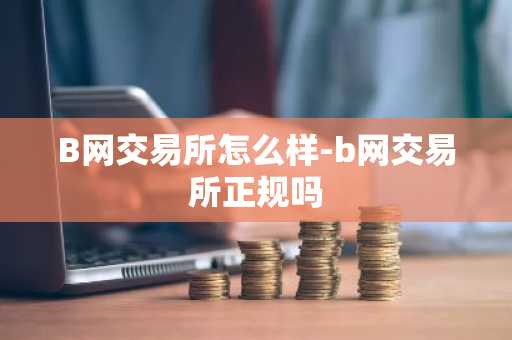 B网交易所怎么样-b网交易所正规吗