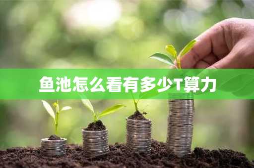鱼池怎么看有多少T算力