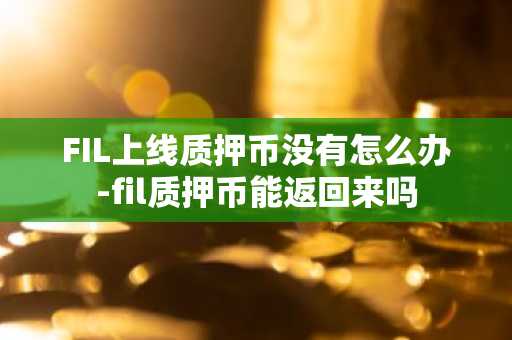 FIL上线质押币没有怎么办-fil质押币能返回来吗