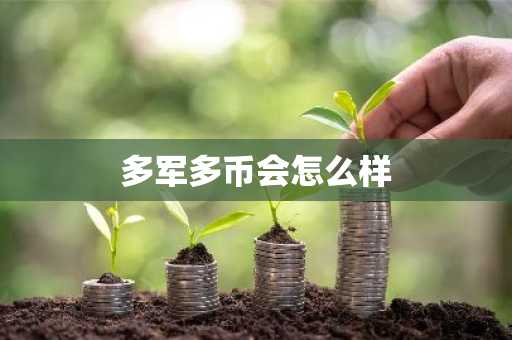 多军多币会怎么样