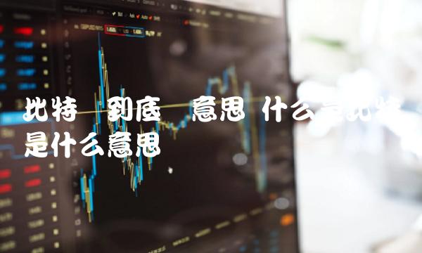 什么是比特币是什么意思