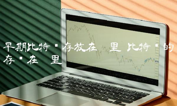 早期比特币存放在哪里