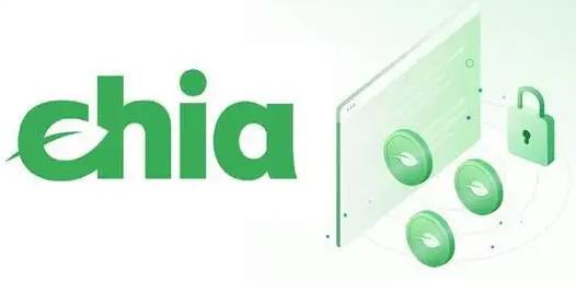 如何下载注册奇亚币APP 奇亚币交易所官方版下载