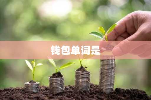 钱包单词是