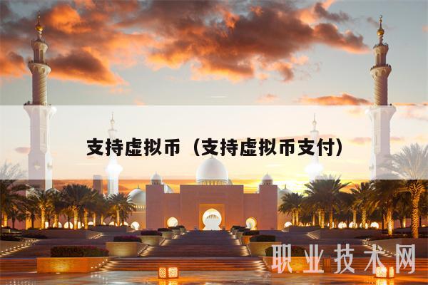 支持虚拟币（支持虚拟币支付