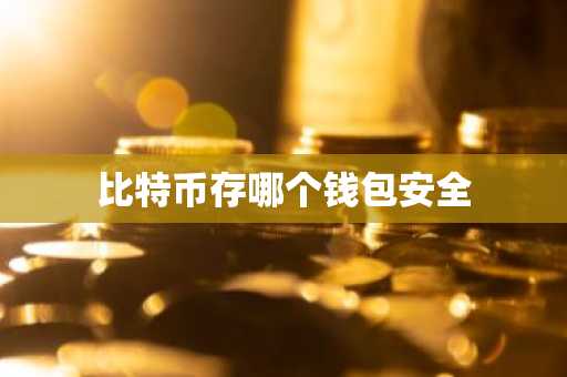 比特币存哪个钱包安全