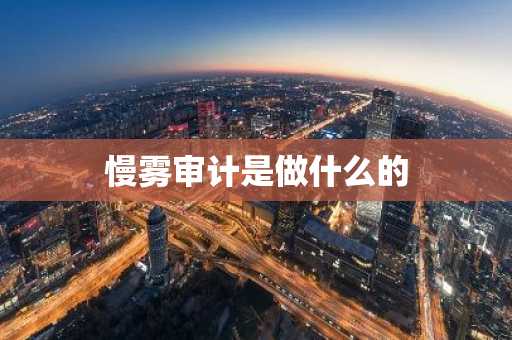 慢雾审计是做什么的