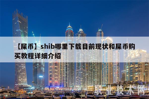 【屎币】shib哪里下载目前现状和屎币购买教程详细介绍