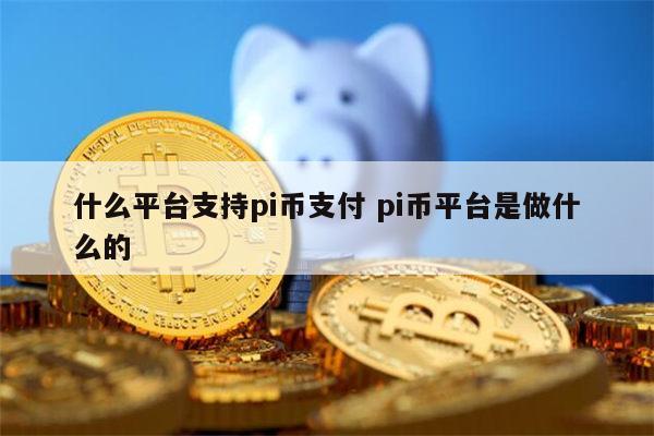 什么平台可以pi币支付 pi币平台是做干嘛的