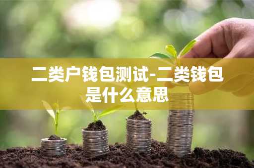 二类户钱包测试-二类钱包是什么意思