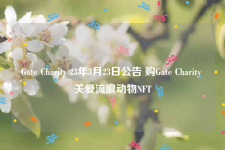 Gat Charity 23年3月23日公告 购Gat Charity 关爱流浪动物NFT