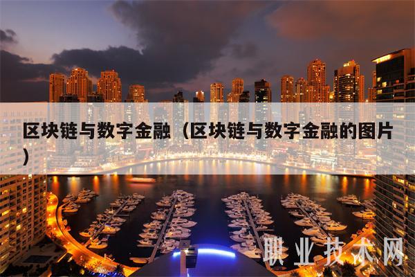 区块链与数字金融（区块链与数字金融的图片）