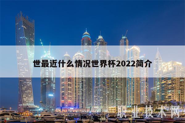 世最近什么情况世界杯2022简介