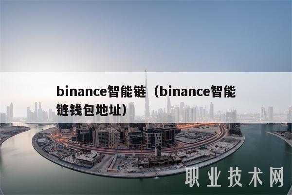 binanc智能链（binanc智能链钱包地址）