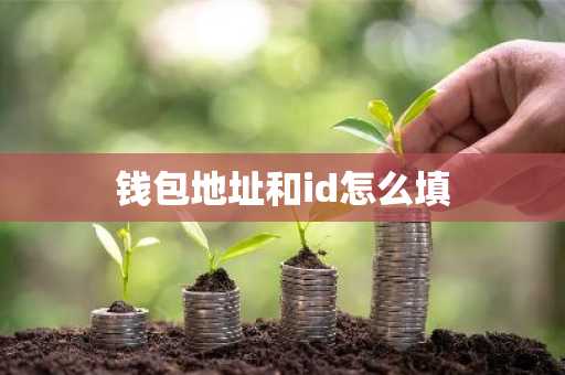 钱包地址和id怎么填