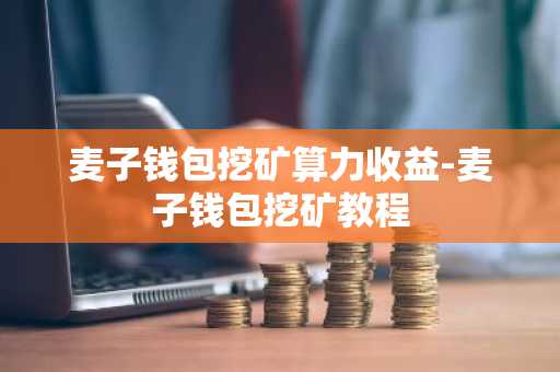 麦子钱包挖矿算力收益-麦子钱包挖矿教程