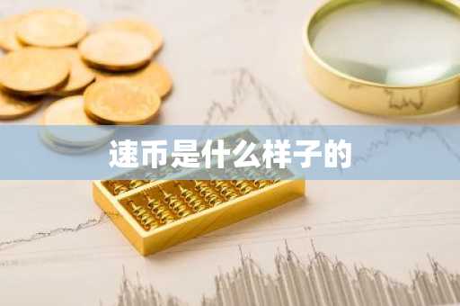 速币是什么样子的