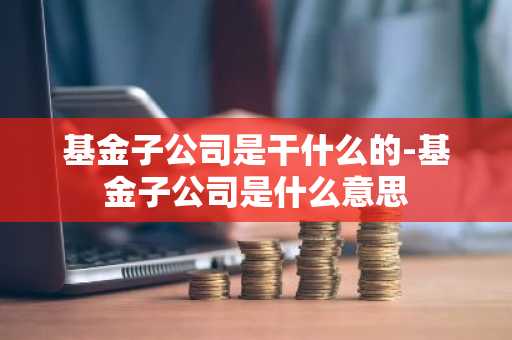 基金子公司是干什么的-基金子公司是什么意思