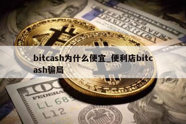 bitcash为什么便宜_便利店bitcash骗局