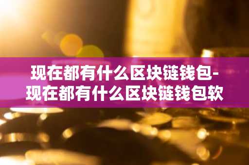 现在都有什么区块链钱包-现在都有什么区块链钱包软件