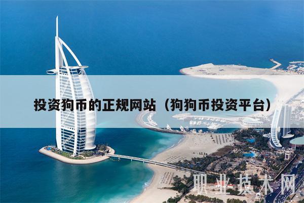 投资狗币的正规网站（狗狗币投资平台）