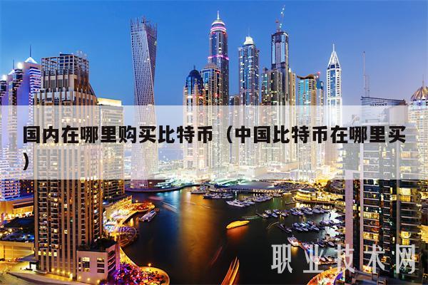 国内在哪里购买比特币（中国比特币在哪里买）