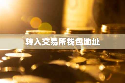 转入交易所钱包地址