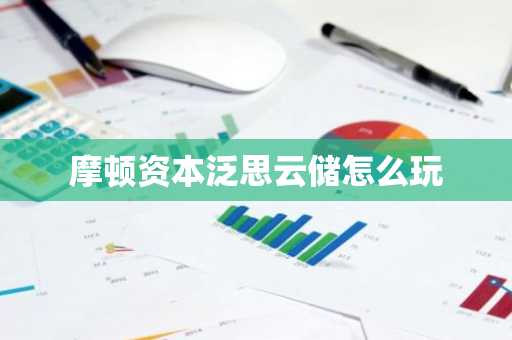 摩顿资本泛思云储怎么玩