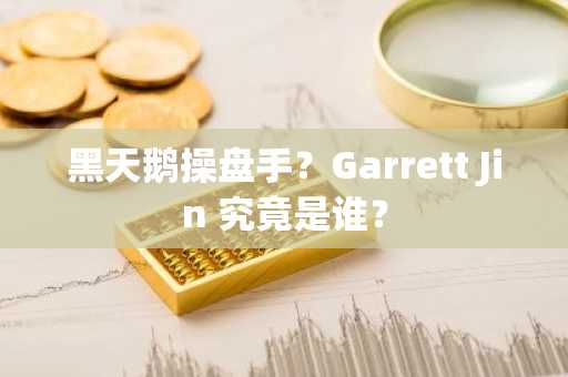 黑天鹅操盘手？Garrett Jin 究竟是谁？