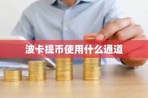 波卡提币使用什么通道