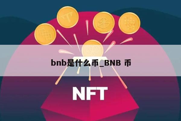 bnb是什么币_BNB 币