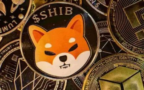 比特儿交易平台(比特儿交易平台网页)