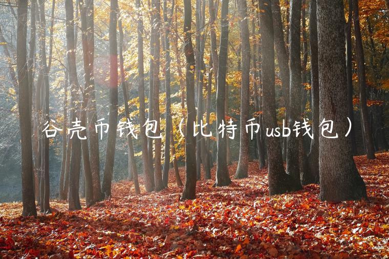 谷壳币钱包（比特币usb钱包）