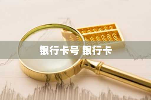 银行卡号 银行卡