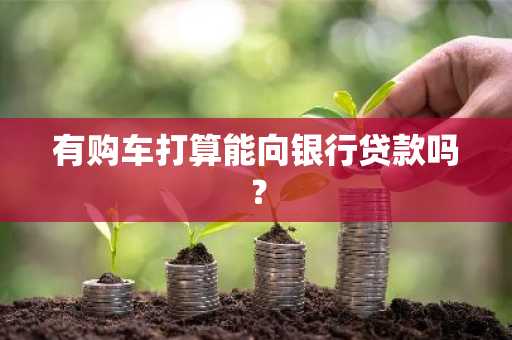 有购车打算能向银行贷款吗？